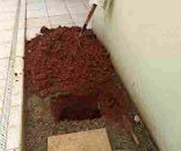 Solução de Vazamentos com Preço Baixo em São Paulo, SP